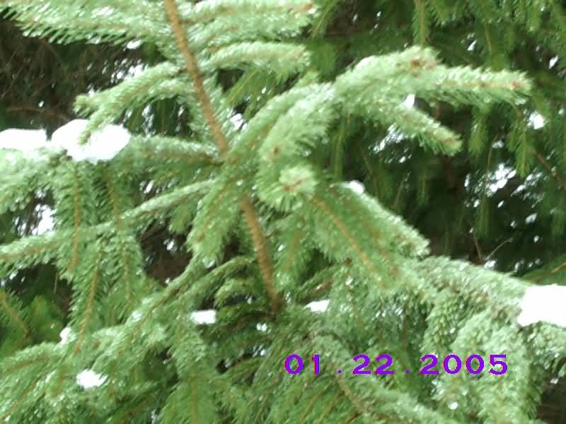 Image of jan22^07.jpg